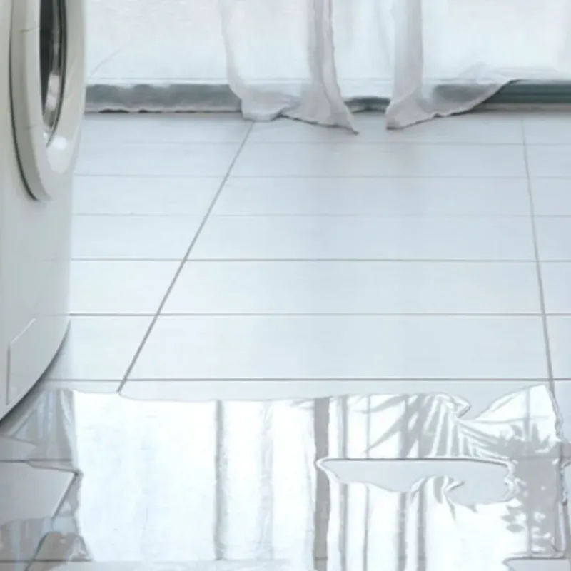 Appliance Leak Cleanup in Big Pine, CA